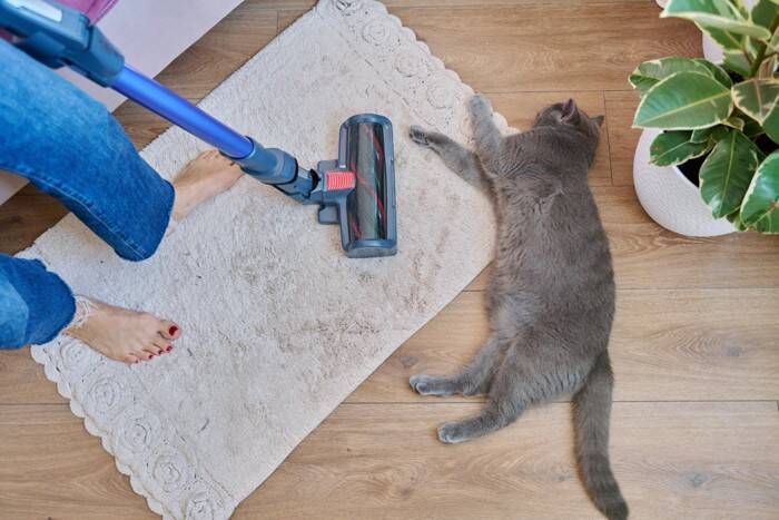 猫が『咳をしている』ときに考えられる原因4つ　病気のリスクや取るべき対処法も解説