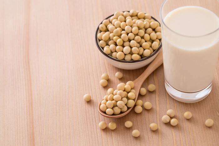 人間の体にいい食品は、猫の体にもいい？5つの食品別に猫への影響を解説