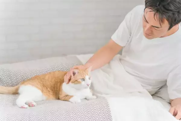 猫と『添い寝』するときにやってはいけない行動5選　思わぬトラブルに繋がる危険性も…？
