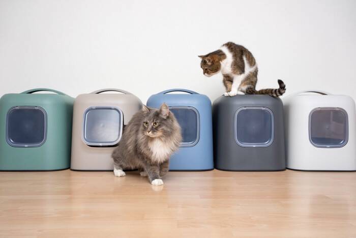 『猫トイレ』の清潔を維持するための習慣5選　負担を減らす工夫やお掃除のポイントも