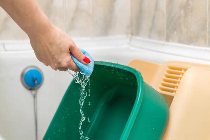 『猫トイレ』の清潔を維持するための習慣5選　負担を減らす工夫やお掃除のポイントも