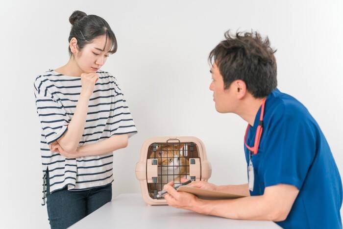 猫の飼い主が『育猫ノイローゼ』を引き起こす原因4つ　心の負担を減らすコツや改善策