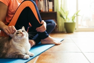 猫があなたの『ストレッチや筋トレ』を邪魔してくる理由4つ　近寄ってくるのはなぜ？注意したいことまで