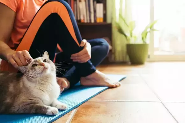 猫があなたの『ストレッチや筋トレ』を邪魔してくる理由4つ　近寄ってくるのはなぜ？注意したいことまで