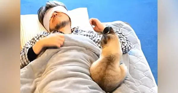 猫といっしょに寝ている最中、『寝返り』を打ったら…『まさかの瞬間』が112万再生「たまに愛がささるよね」「思いっきり復讐されてるｗ」