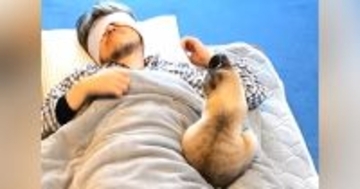 猫といっしょに寝ている最中、『寝返り』を打ったら…『まさかの瞬間』が112万再生「たまに愛がささるよね」「思いっきり復讐されてるｗ」