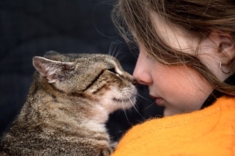 猫と過ごす日々で『幸せを実感できる瞬間』3選　愛猫がする行動の意味や飼い主にもたらす効果