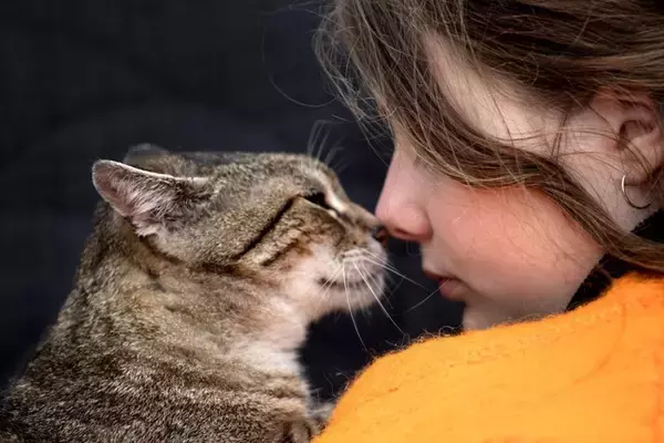 猫と過ごす日々で『幸せを実感できる瞬間』3選　愛猫がする行動の意味や飼い主にもたらす効果