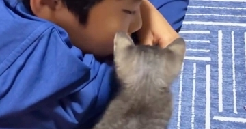 『大好きなお兄ちゃん』が帰ってくると…小さな子猫が見せた『可愛すぎる行動』に癒される人が続出「優しい光景」「しあわせそう〜」