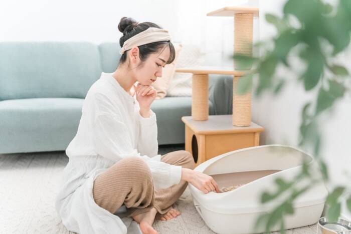 猫の『排泄中』に見られたら危ないサイン5つ　病気のリスクから対処法まで解説