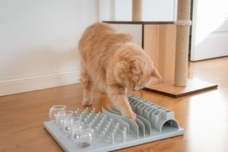 猫を夢中にさせる『知育トイ』のオススメ5選　得られるメリットから上手な遊ばせ方まで