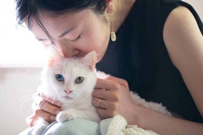 猫の『終末期』が来たときにできること4つ　限られた時間を大切に過ごすための心得