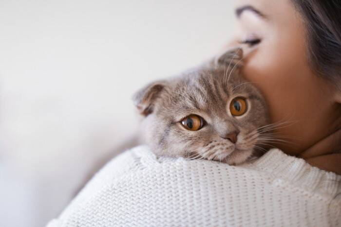 猫があなたから『目をそらす』ときの理由4選　素っ気ないわけではない？仕草に隠された本当の意味とは