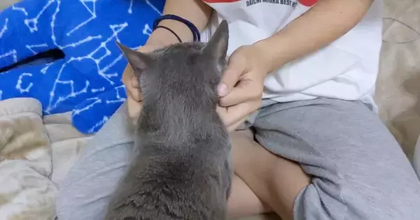 娘のことが大好きな猫→娘が部屋から出ていくと…『分かりやすすぎる反応』に「差が激しくて笑ったｗ」「明らかに変わったねｗ」と13万再生