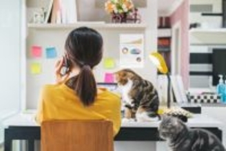 猫が『飼い主の愛を確かめる』ときにする行動5つ　見逃せないサインや絆を深める応え方まで