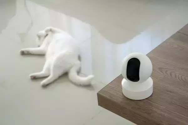 猫との暮らしが豊かになる『ペット家電』5選　あると便利な理由や使い方のポイントもご紹介