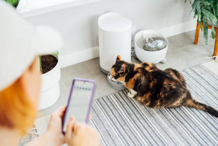 猫との暮らしが豊かになる『ペット家電』5選　あると便利な理由や使い方のポイントもご紹介