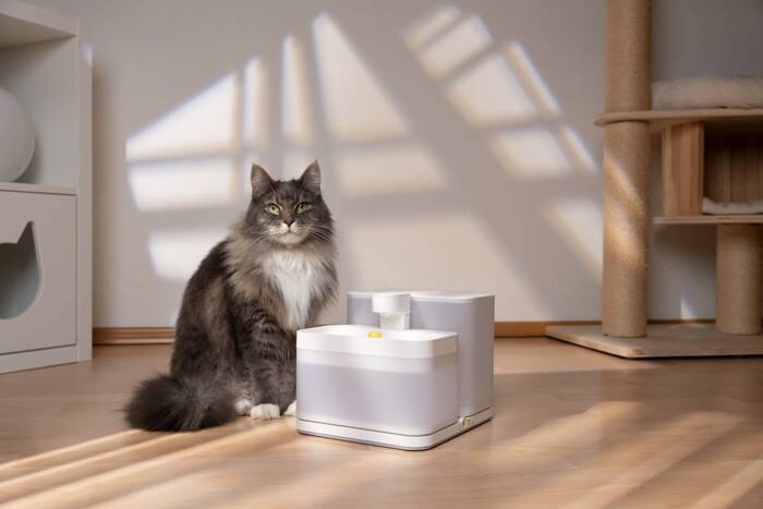 猫との暮らしが豊かになる『ペット家電』5選　あると便利な理由や使い方のポイントもご紹介