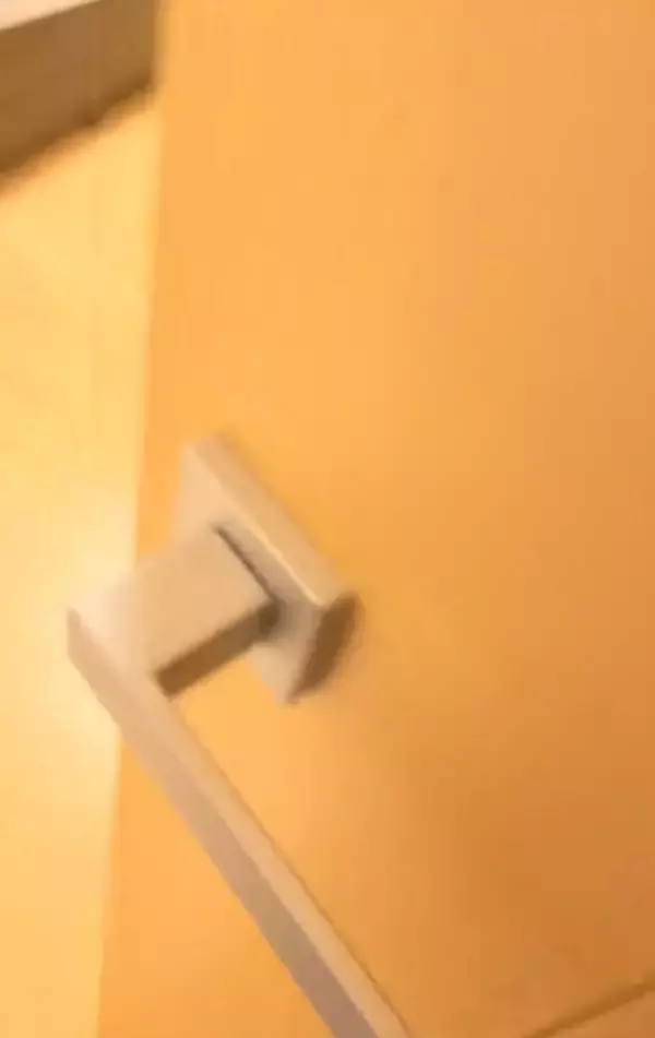 イタズラした猫をケージのなかで留守番させた結果…想像もしていなかった『衝撃のお迎え姿』が219万再生「猫やめすぎｗ」「ふれくされ感ｗ」