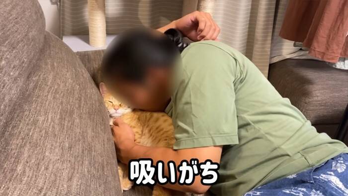 『ネコ反対派の夫』に一生のお願いをして子猫を迎えたら、1年後……『まさかの姿』が15万再生「落ちていくｗ」「簡単には抜け出せない」
