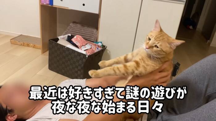 『ネコ反対派の夫』に一生のお願いをして子猫を迎えたら、1年後……『まさかの姿』が15万再生「落ちていくｗ」「簡単には抜け出せない」