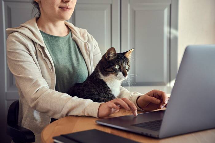 猫界で有名な『超セレブな猫』3選　高収入を得ている理由や仕事内容もご紹介