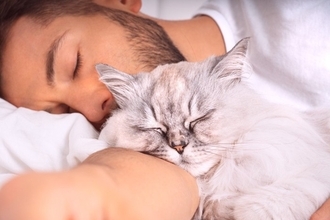 猫があなたの『顔の近くで寝ようとする』ときの理由5つ　どんな気持ちでそばに来るの？応え方のポイントも
