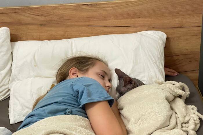 猫があなたの『顔の近くで寝ようとする』ときの理由5つ　どんな気持ちでそばに来るの？応え方のポイントも