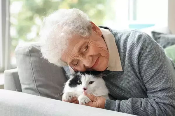 愛猫が高齢になったら見直したい『お世話の方法』6選　シニア期を快適に過ごすためのポイントとは