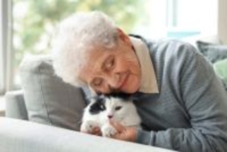 愛猫が高齢になったら見直したい『お世話の方法』6選　シニア期を快適に過ごすためのポイントとは