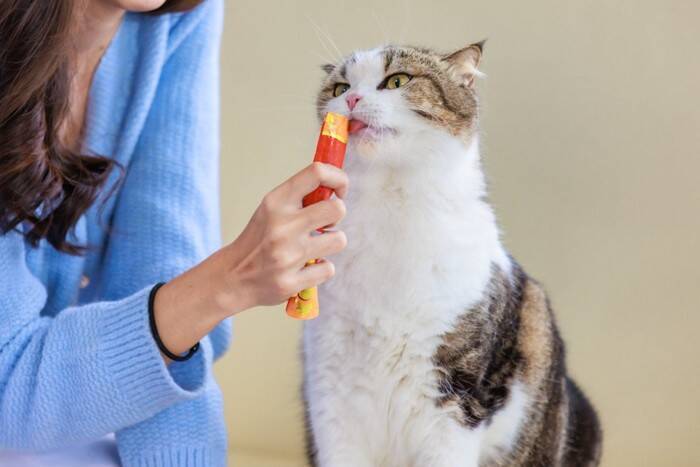 猫が耳を塞ぎたくなる『大嫌いな言葉』4つ　意味を理解しているの？嫌な思いをさせないためのコツも