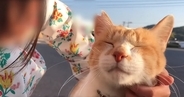 『おうちにおいでよ！こたつあるから』野良猫に声をかけた日から5年…愛にあふれた記録が170万再生「まるで映画のよう」「ボロボロ泣いた」