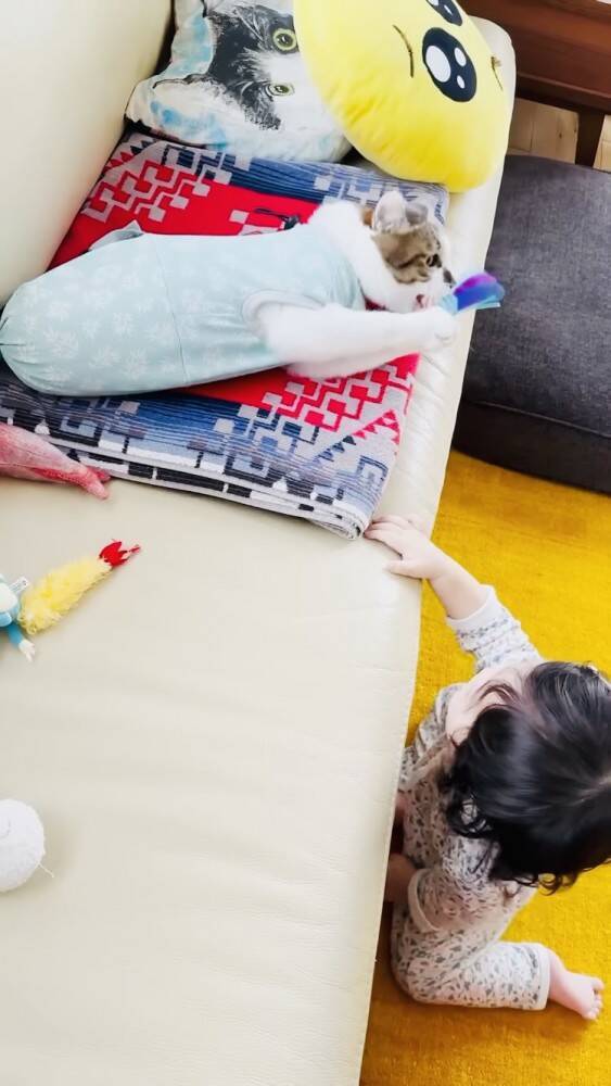 おもちゃで遊んでいた猫→赤ちゃんが欲しがった結果…まさかの『対応』をする姿が23万再生！「かわいすぎて涙」「ママと対応が全然違う」