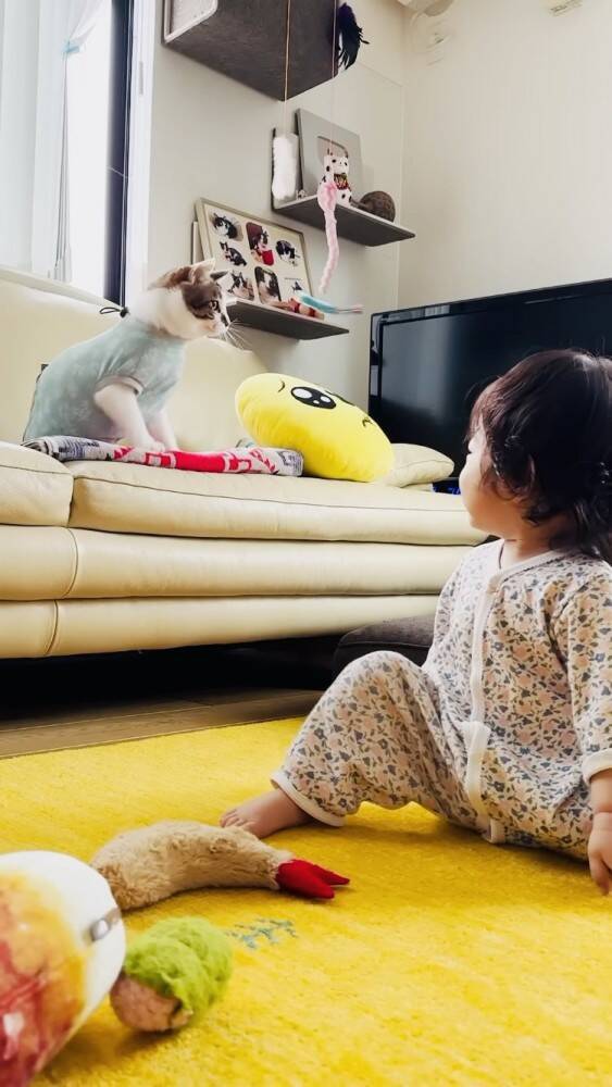 おもちゃで遊んでいた猫→赤ちゃんが欲しがった結果…まさかの『対応』をする姿が23万再生！「かわいすぎて涙」「ママと対応が全然違う」