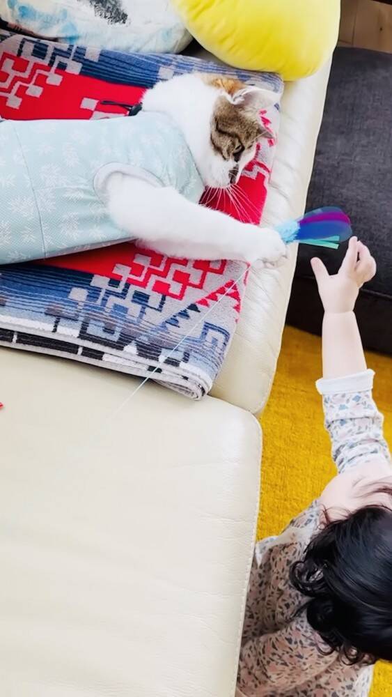 おもちゃで遊んでいた猫→赤ちゃんが欲しがった結果…まさかの『対応』をする姿が23万再生！「かわいすぎて涙」「ママと対応が全然違う」