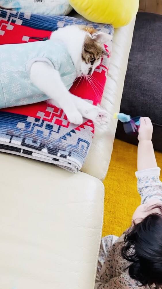 おもちゃで遊んでいた猫→赤ちゃんが欲しがった結果…まさかの『対応』をする姿が23万再生！「かわいすぎて涙」「ママと対応が全然違う」