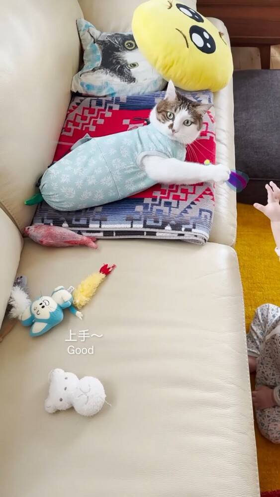 おもちゃで遊んでいた猫→赤ちゃんが欲しがった結果…まさかの『対応』をする姿が23万再生！「かわいすぎて涙」「ママと対応が全然違う」