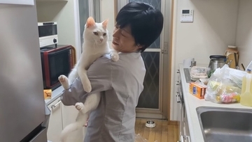 超甘えん坊な白猫を『おんぶ紐』でおんぶしてみたら…微笑ましすぎる光景が105万再生「愛情が詰まってる」「赤ちゃん育ててるみたいｗ」