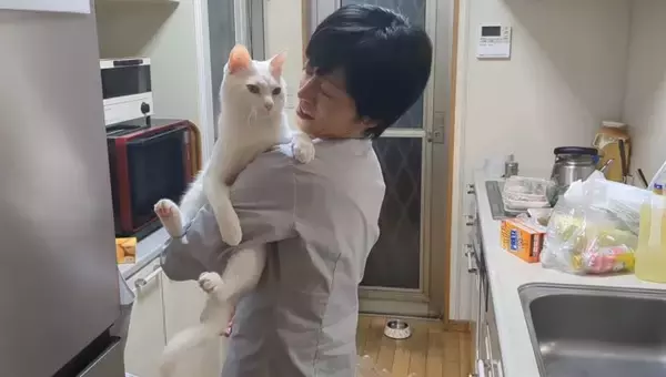 超甘えん坊な白猫を『おんぶ紐』でおんぶしてみたら…微笑ましすぎる光景が105万再生「愛情が詰まってる」「赤ちゃん育ててるみたいｗ」