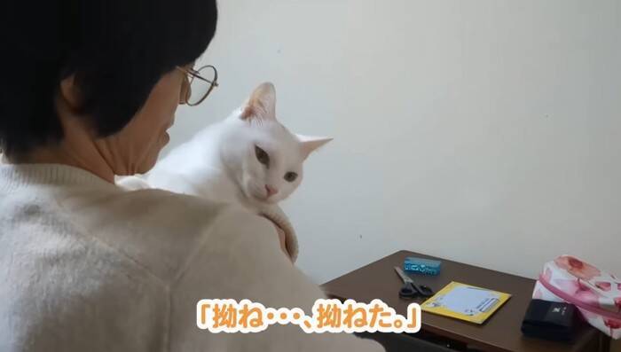 超甘えん坊な白猫を『おんぶ紐』でおんぶしてみたら…微笑ましすぎる光景が105万再生「愛情が詰まってる」「赤ちゃん育ててるみたいｗ」