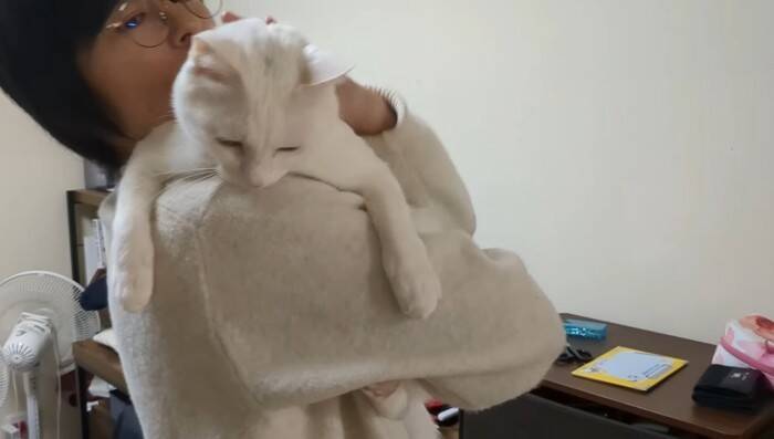 超甘えん坊な白猫を『おんぶ紐』でおんぶしてみたら…微笑ましすぎる光景が105万再生「愛情が詰まってる」「赤ちゃん育ててるみたいｗ」