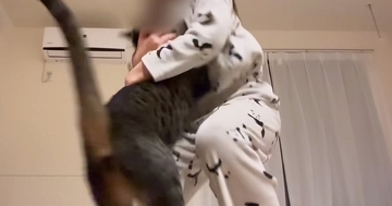 娘が『内緒で撮っていた映像』を見てみたら…猫との『尊いやり取り』が19万再生「本当の姉妹のよう」「ほっこりした」と癒される人が続出