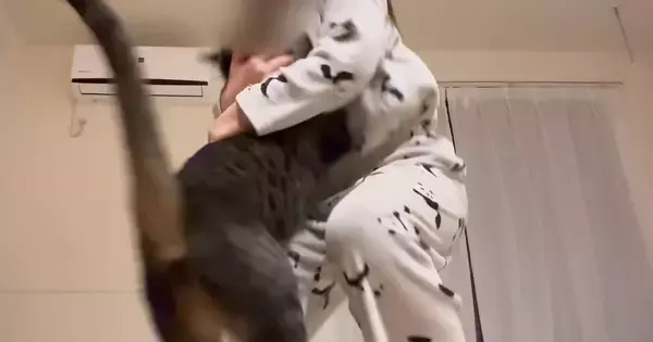 娘が『内緒で撮っていた映像』を見てみたら…猫との『尊いやり取り』が19万再生「本当の姉妹のよう」「ほっこりした」と癒される人が続出