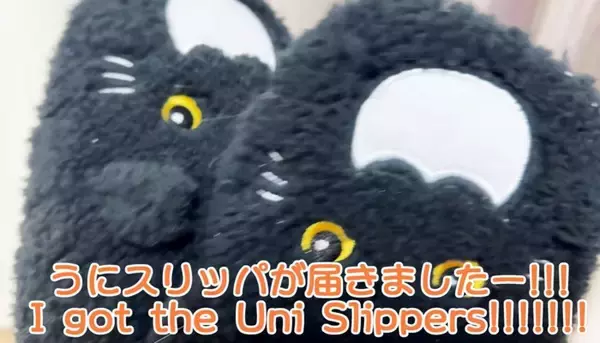 猫が『自分そっくりのスリッパ』を見た結果…予想外の反応が"可愛すぎる"と笑顔になる人続出「心境が気になる」「とても面白くて可愛い」
