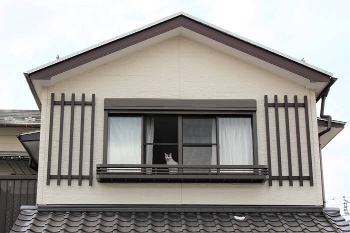 猫が『お留守番の後』にやりがちな行動5つ　飼い主がすべきケアの方法もご紹介