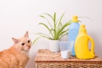 猫との暮らしで『部屋干し』するときの注意点3つ　愛猫を苦しめている可能性も…？