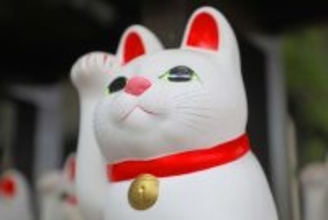 猫との結びつきがある『パワースポット』3選　福を招くかも？歴史や見どころもご紹介