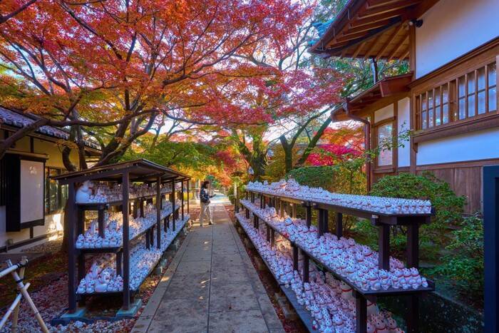 猫との結びつきがある『パワースポット』3選　福を招くかも？歴史や見どころもご紹介