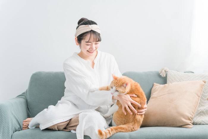 猫が『尻尾をぶつけてくる』ときの理由3つ　読み取れる心理や上手な応え方