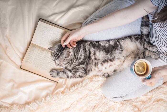 猫が人の『股の間に入りたがる』理由3つ　居心地が良いの？動けないときの対処法も